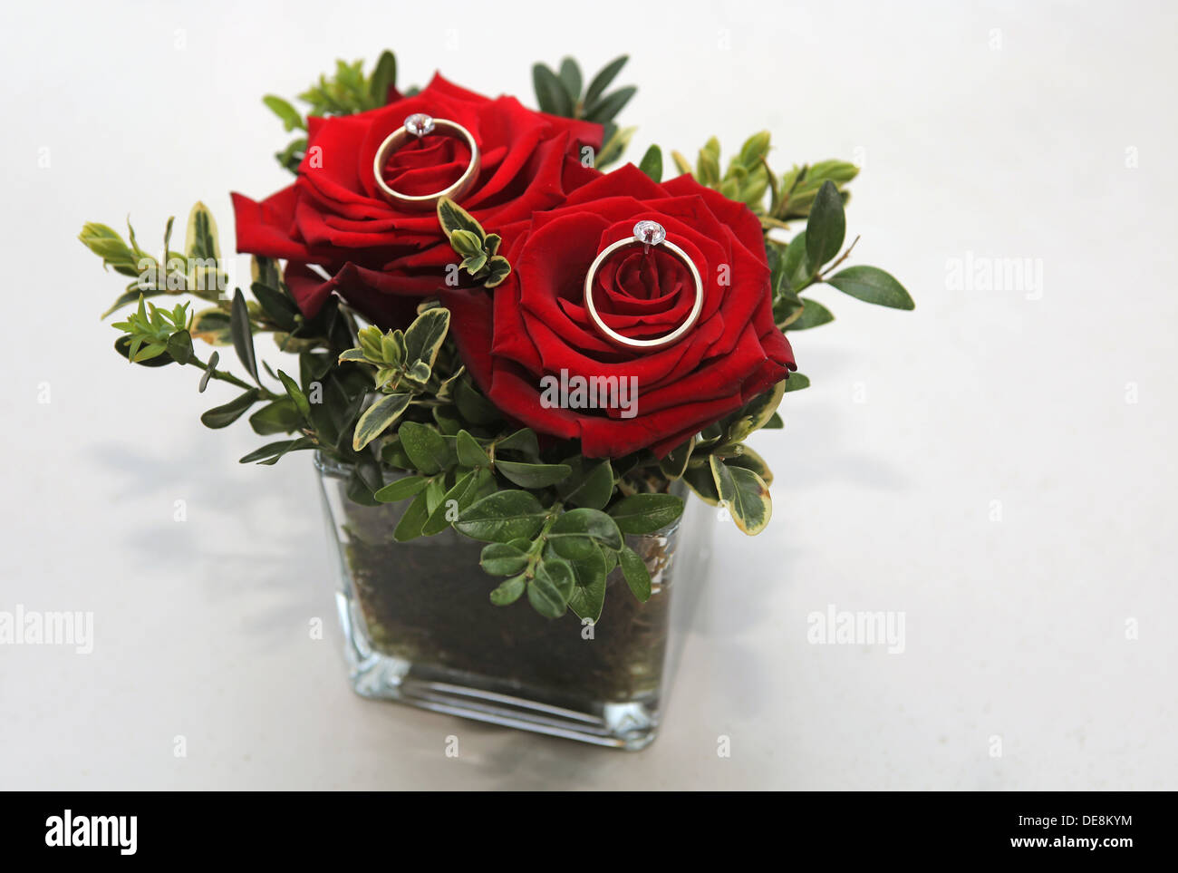 Buckow, Germany, two gold rings on red roses Stock Photo