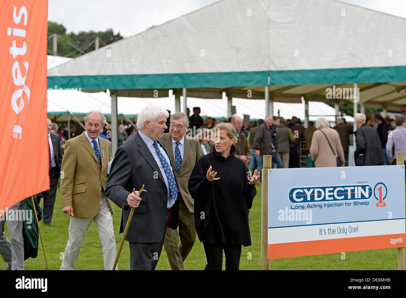 KELSO , Scotland, UK. 13 September 2013. Border Union Agricultural Society, The Cydectin Kelso Ram Sales 2013 is the 175th anniversary of the Ram Sales.  HRH The Countess of Wessex chats with Ronald Wilson, secretary of Border Union Agricultural Society  (Photo Credit: Rob Gray) Credit:  Rob Gray/Alamy Live News Stock Photo