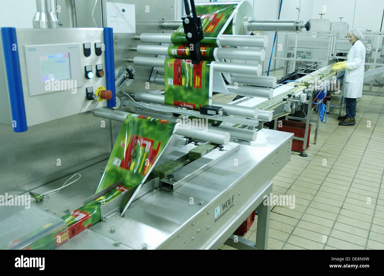 Frozen food industry, packing line. Navarre. Spain Stock Photo Alamy