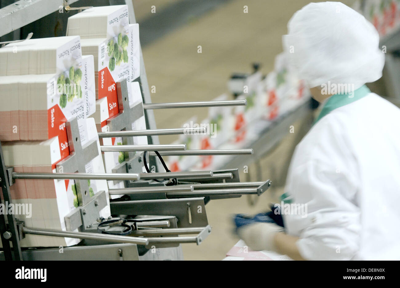 Frozen food industry, broccoli packing line. Navarre. Spain Stock Photo