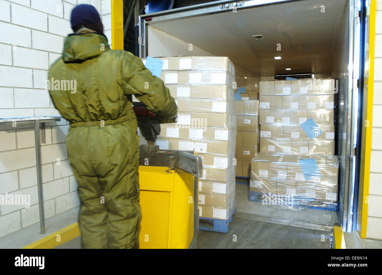 Frozen food industry, coldstorage area, loading a truck. Navarre Stock