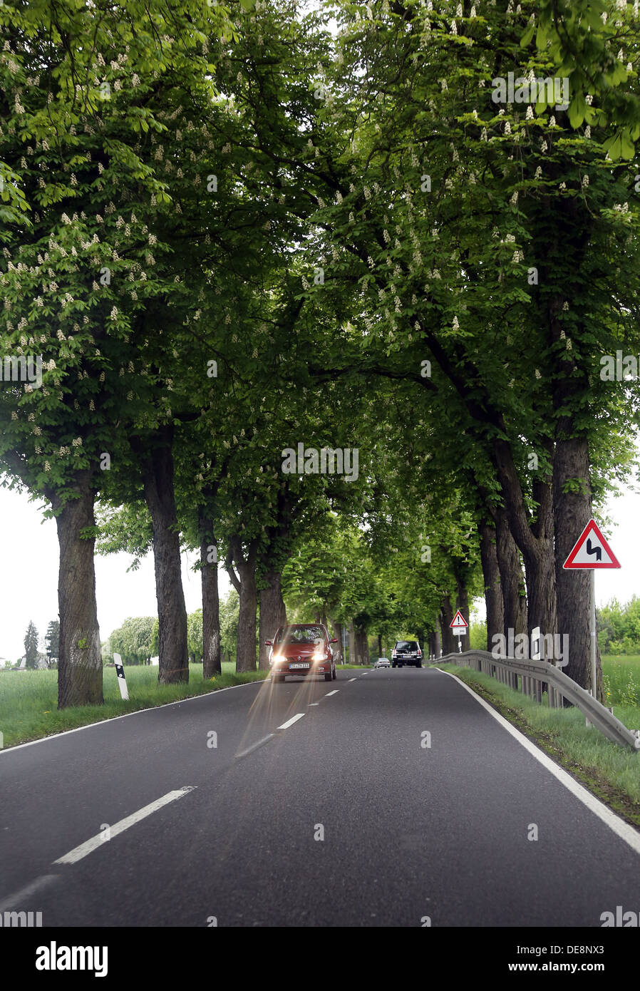 Thyrow, Germany, cars are driving with lights on during day one avenue along Stock Photo