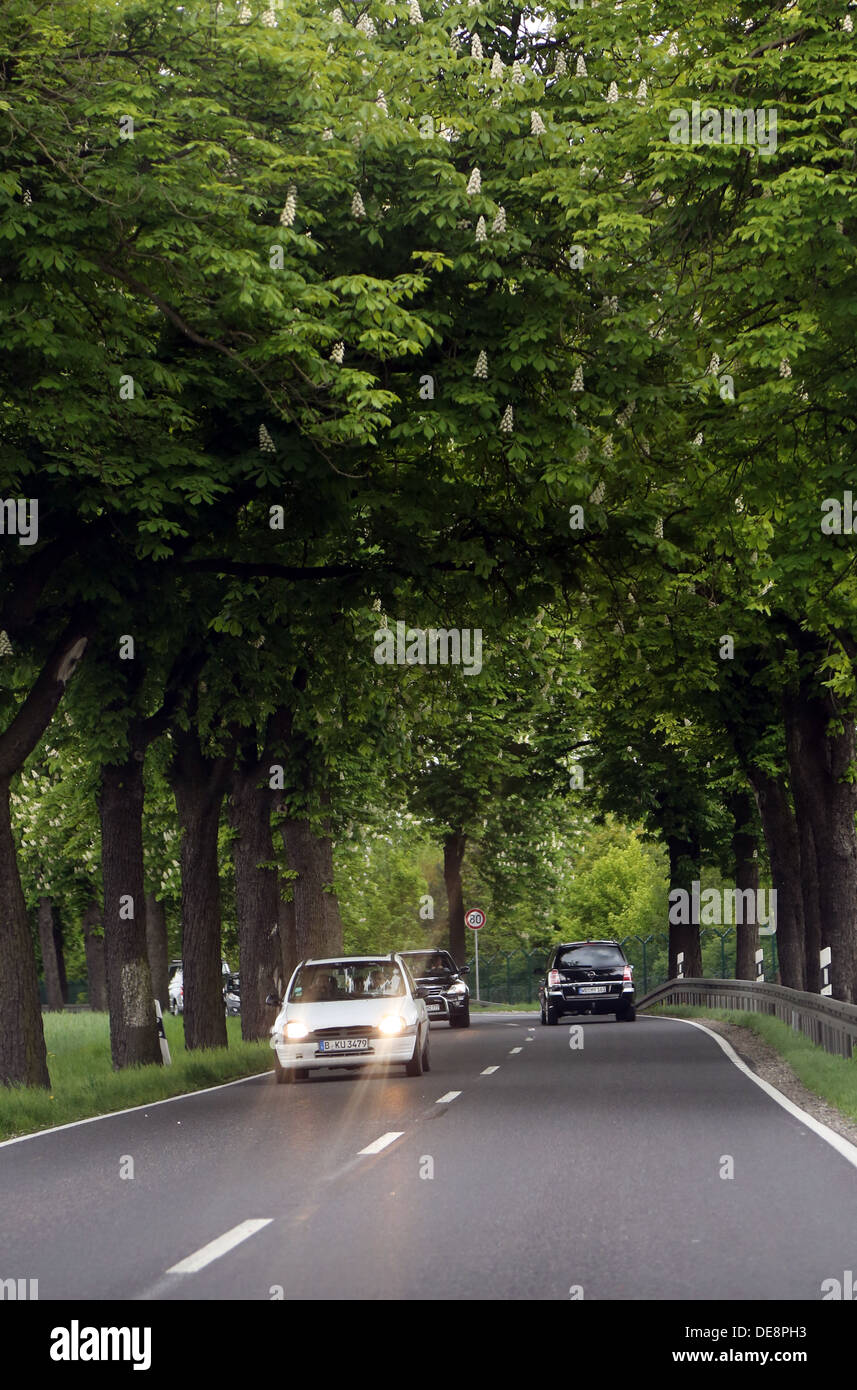 Thyrow, Germany, cars are driving with lights on during day one avenue along Stock Photo