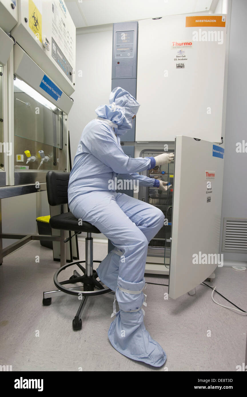 Cell cultures flask in CO2 Incubator. Production room, grade B. Clean