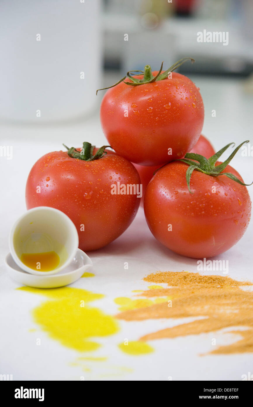 Research and Development laboratory. Functional biomolecules in food extraction. Tomatoe extract