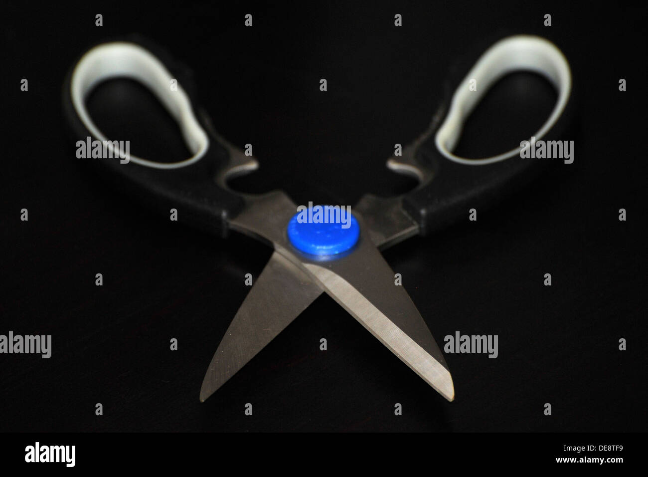 Kitchen scissors hi-res stock photography and images - Alamy