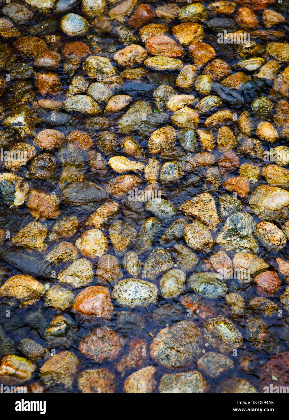 Shallow stream layer rocks hi-res stock photography and images - Alamy