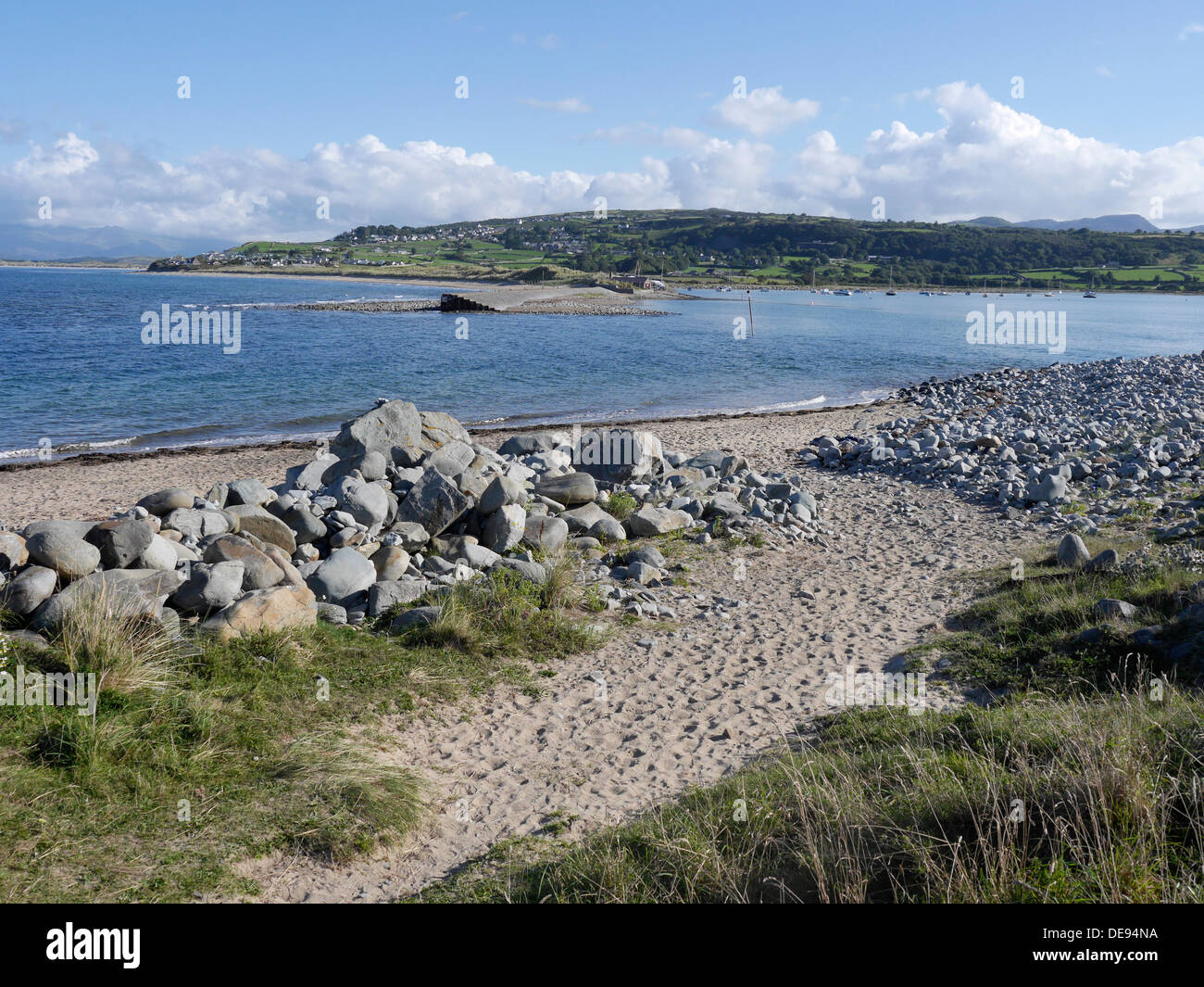Is Shell Island Dog Friendly