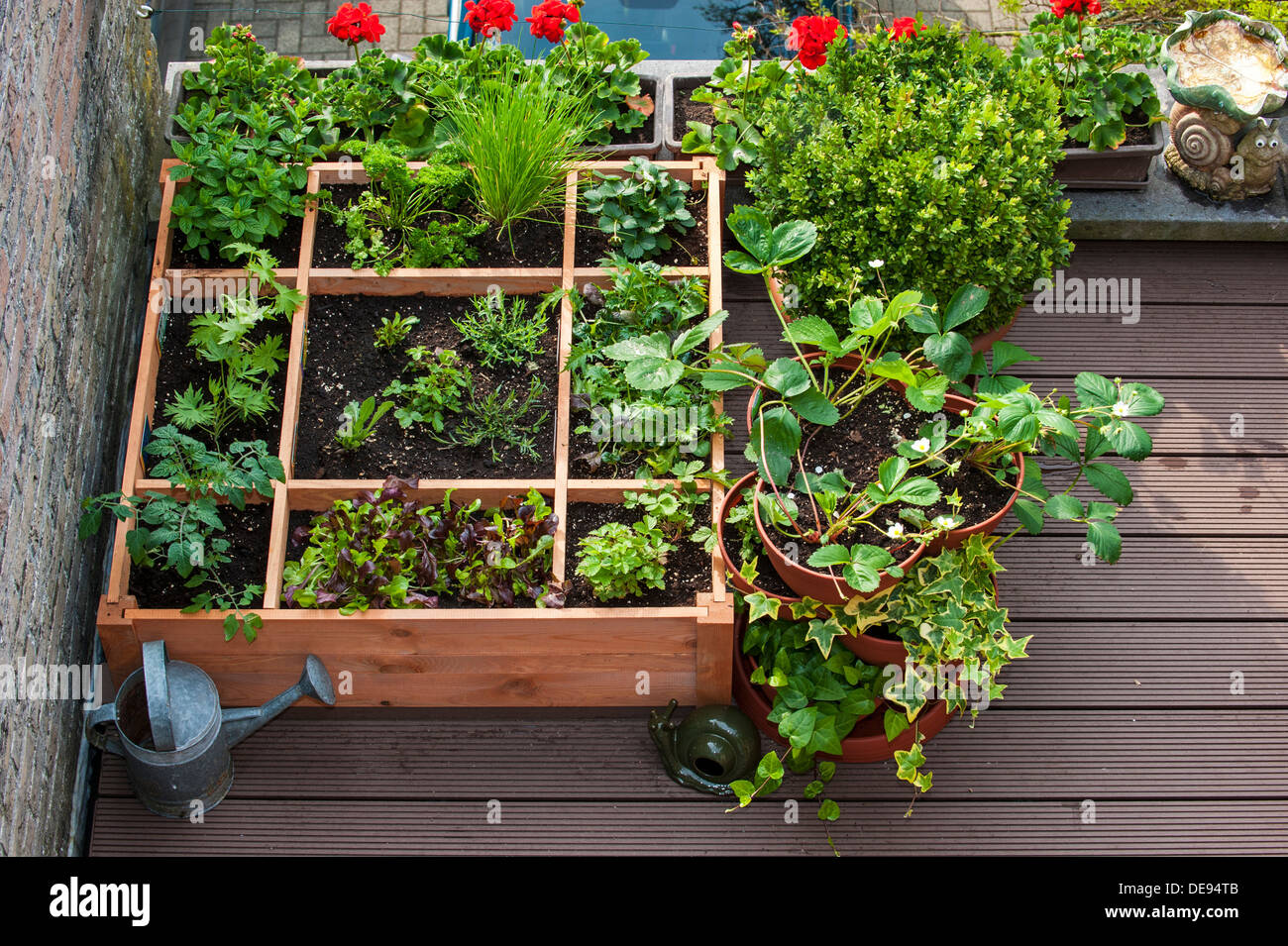 Square foot gardening by planting flowers, herbs and vegetables in wooden box on balcony Stock Photo