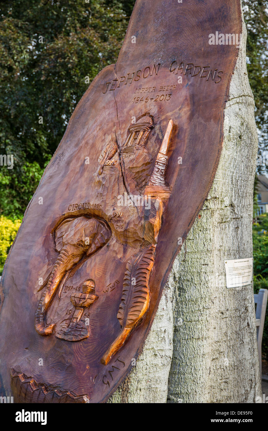 Carvings in a Copper Beech Tree in Jephson Gardens, Royal Leamington Spa which was felled after diagnosed with a fungal disease. Stock Photo