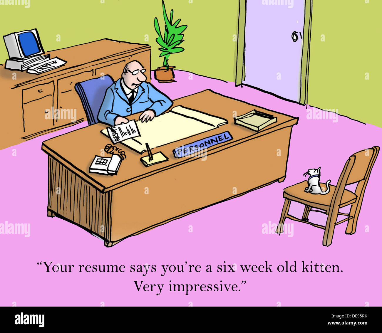 Your Resume Says You re A Six Week Old Kitten Very Impressive Stock your resume says you re a six week old kitten very impressive stock