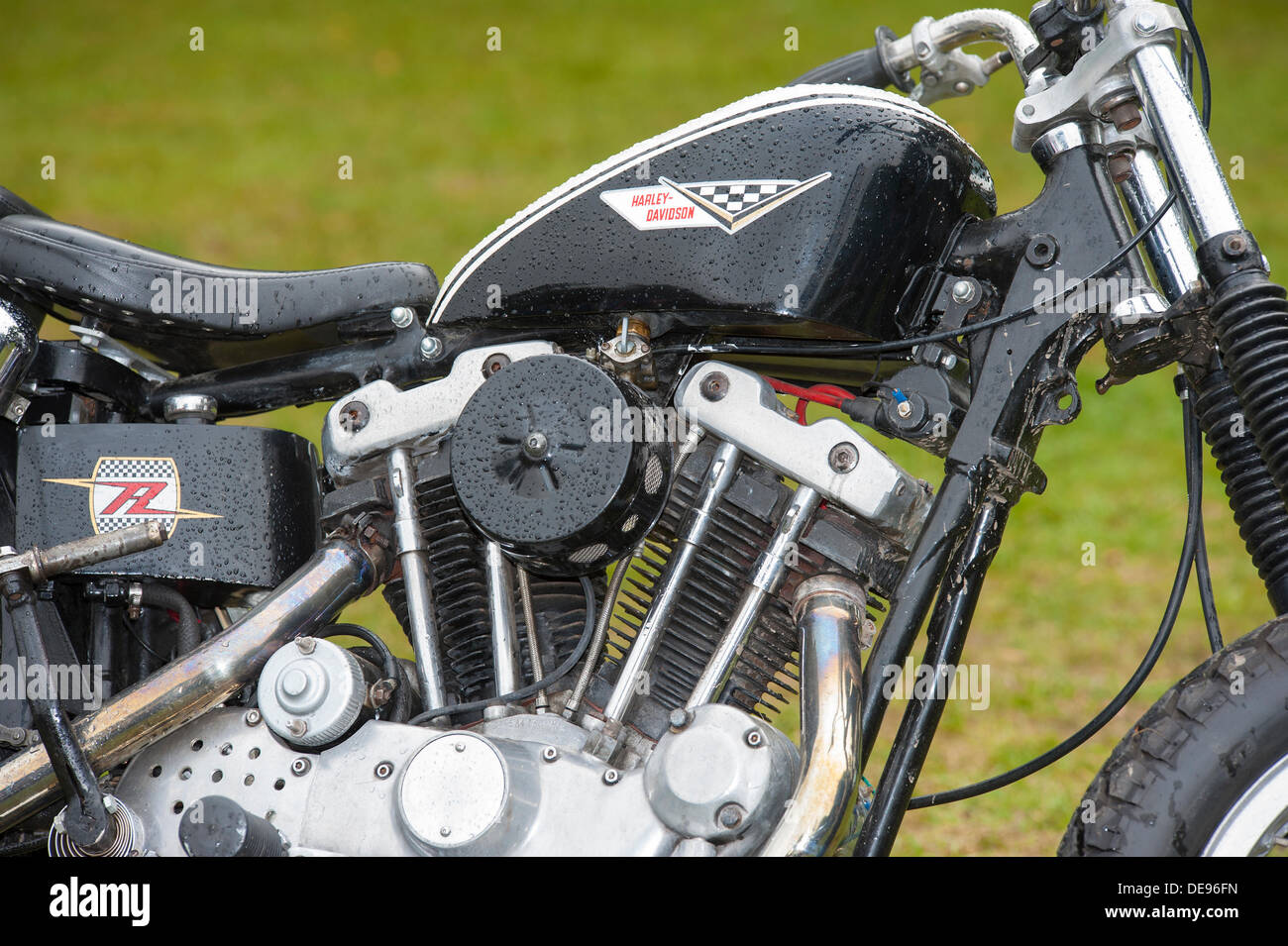 rebuilt ironhead engine for sale