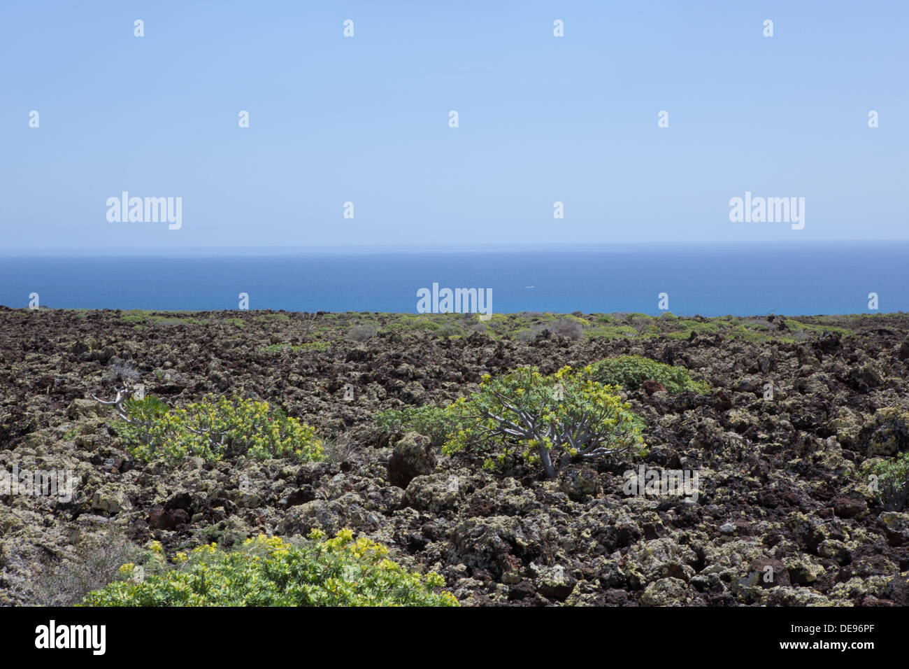 The picture belongs to a series of pictures from the holiday island of Lanzarote Stock Photo