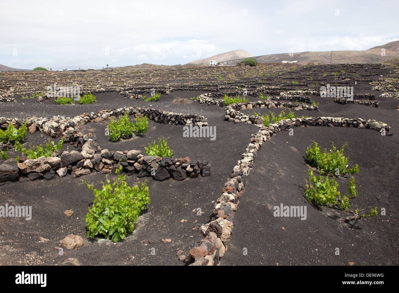 The picture belongs to a series of pictures from the holiday island of Lanzarote Stock Photo