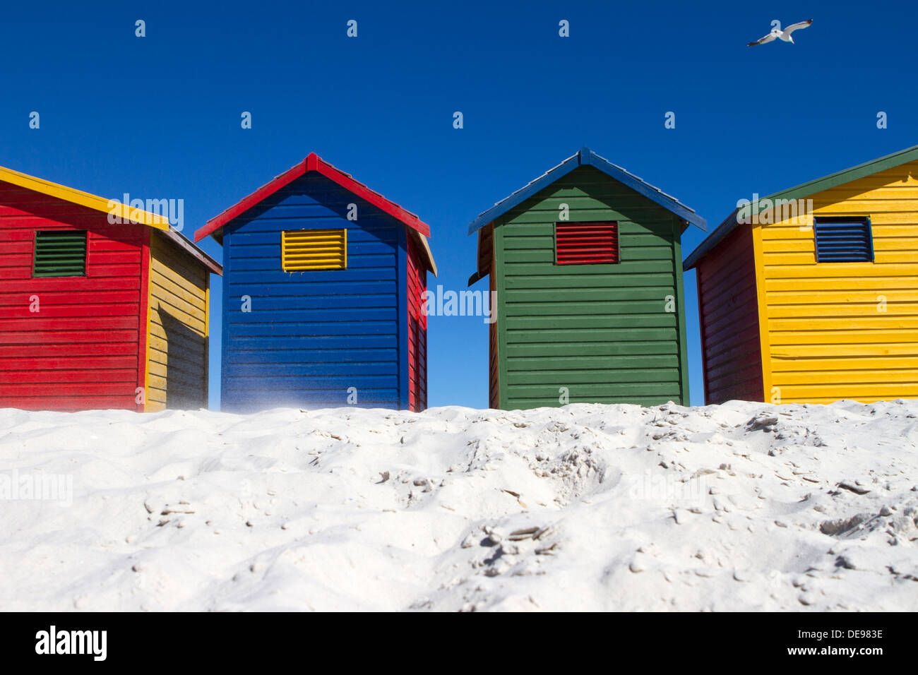 A row of brightly coloured beach huts and a seagull. Stock Photo