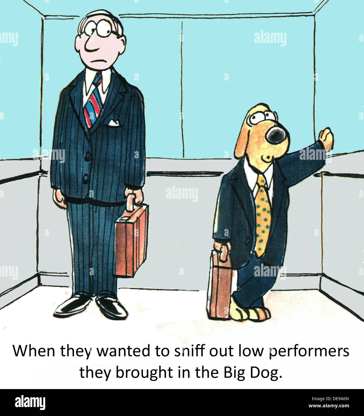 When they wanted to sniff out low performers they brought in the Big Dog. Stock Photo