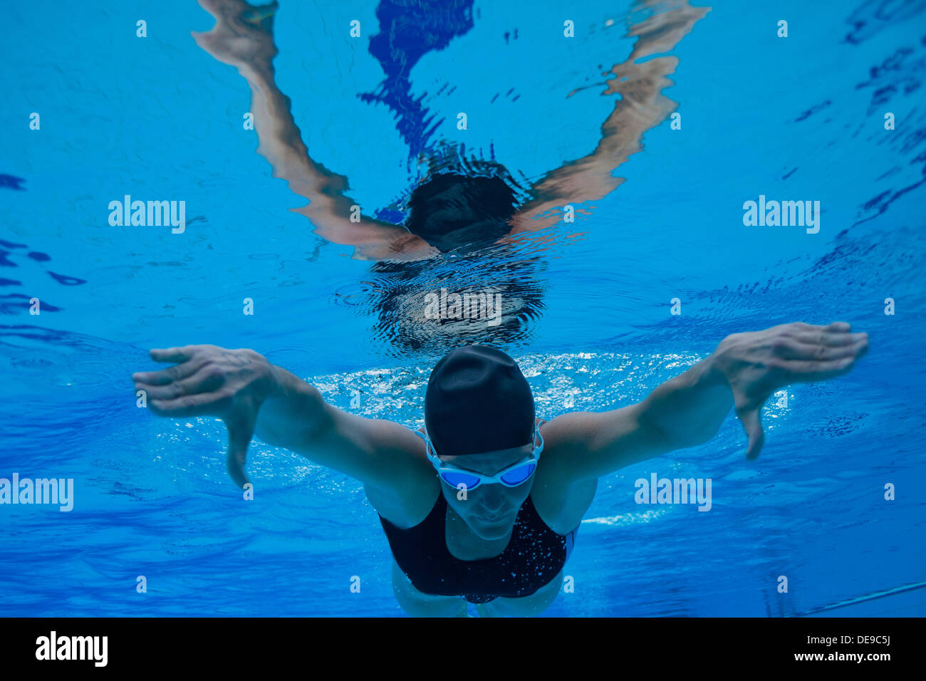 Female swimmer diving underwater in swimming pool Stock Photo Alamy