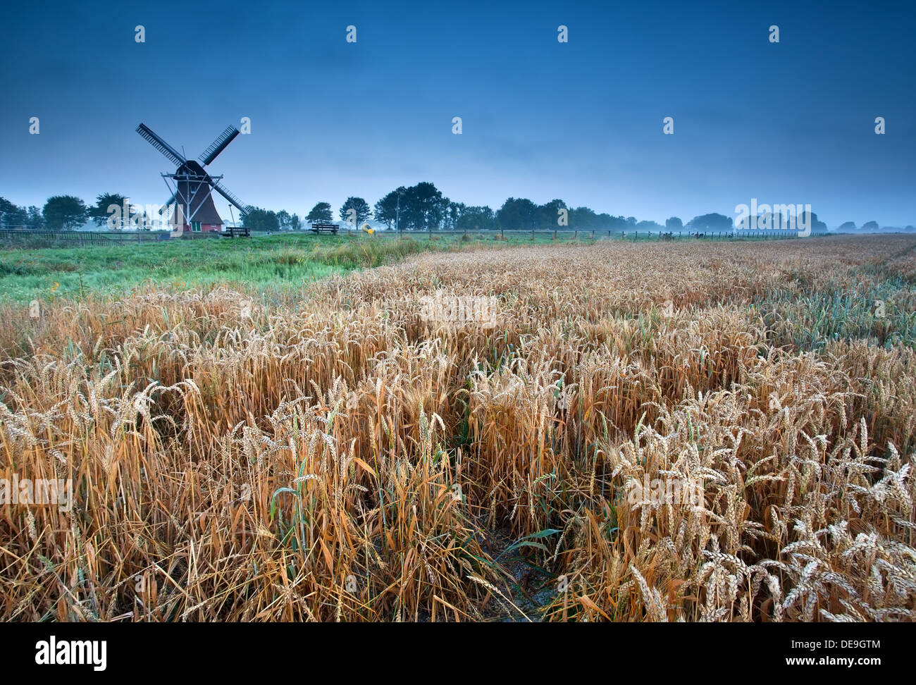Barley Field With Windmill High Resolution Stock Photography and Images ...