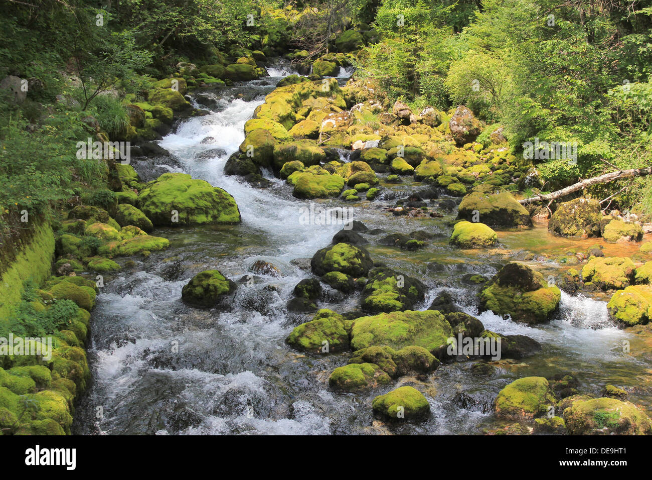 Pure alpine water of Gljun stream, Juliana Walking Trail, Alpe Adria Trail, Julian Alps, Bovec, Slovenia, Central Europe Stock Photo