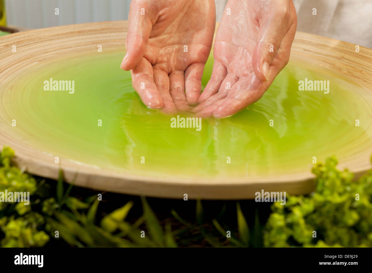 Woman's hands bathing in green liquid at health spa in natural environment Stock Photo