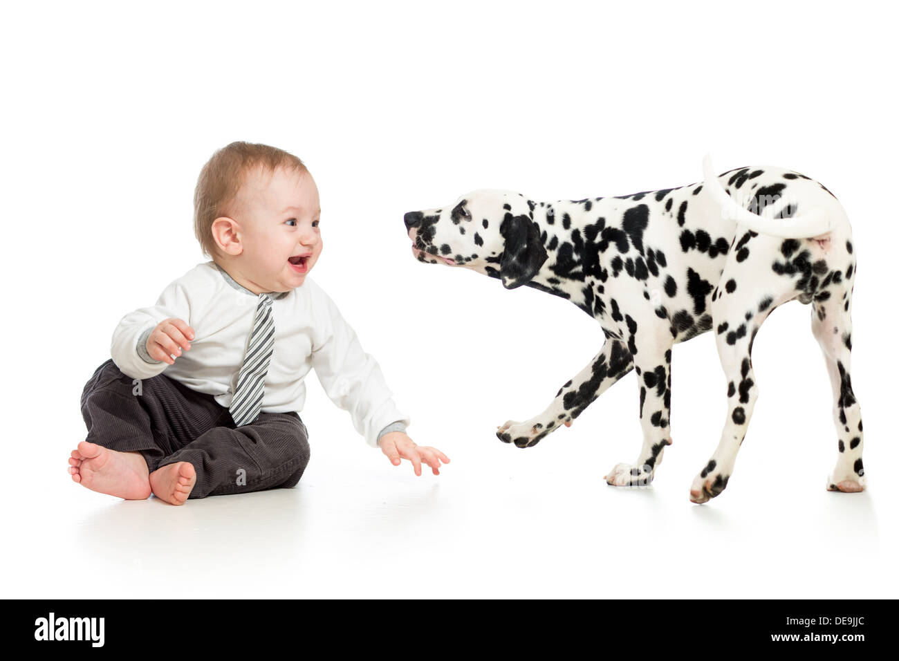 baby boy playing with puppy dog Stock Photo