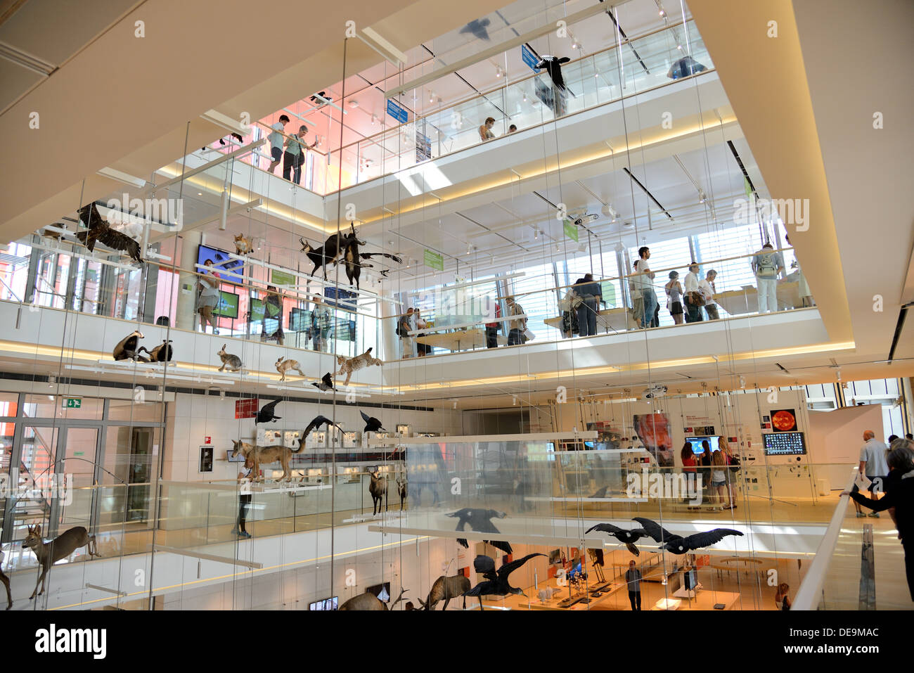 TRENTO, ITALY- AUGUST 6: the Muse, interactive museum designed by architect Renzo Piano, was inaugurated on 23 July 2013. Stock Photo