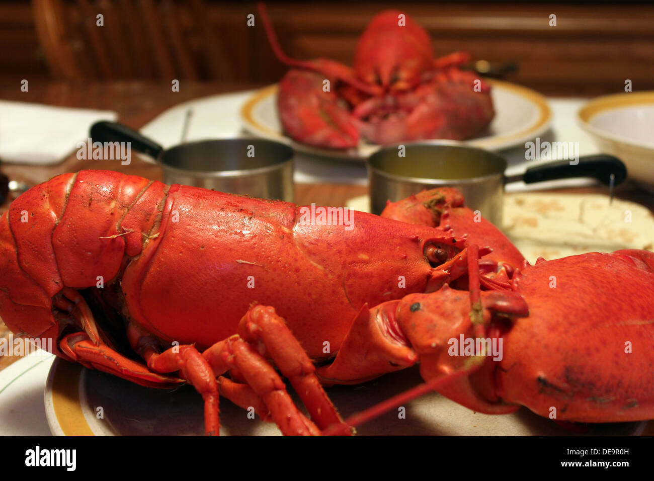 Boiled lobster on plate with another in the background and butter in mini saucepans Stock Photo