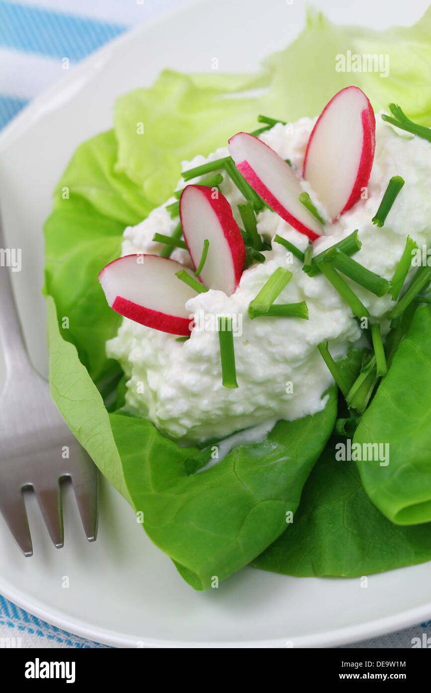 Healthy breakfast of cottage cheese with chives Stock Photo