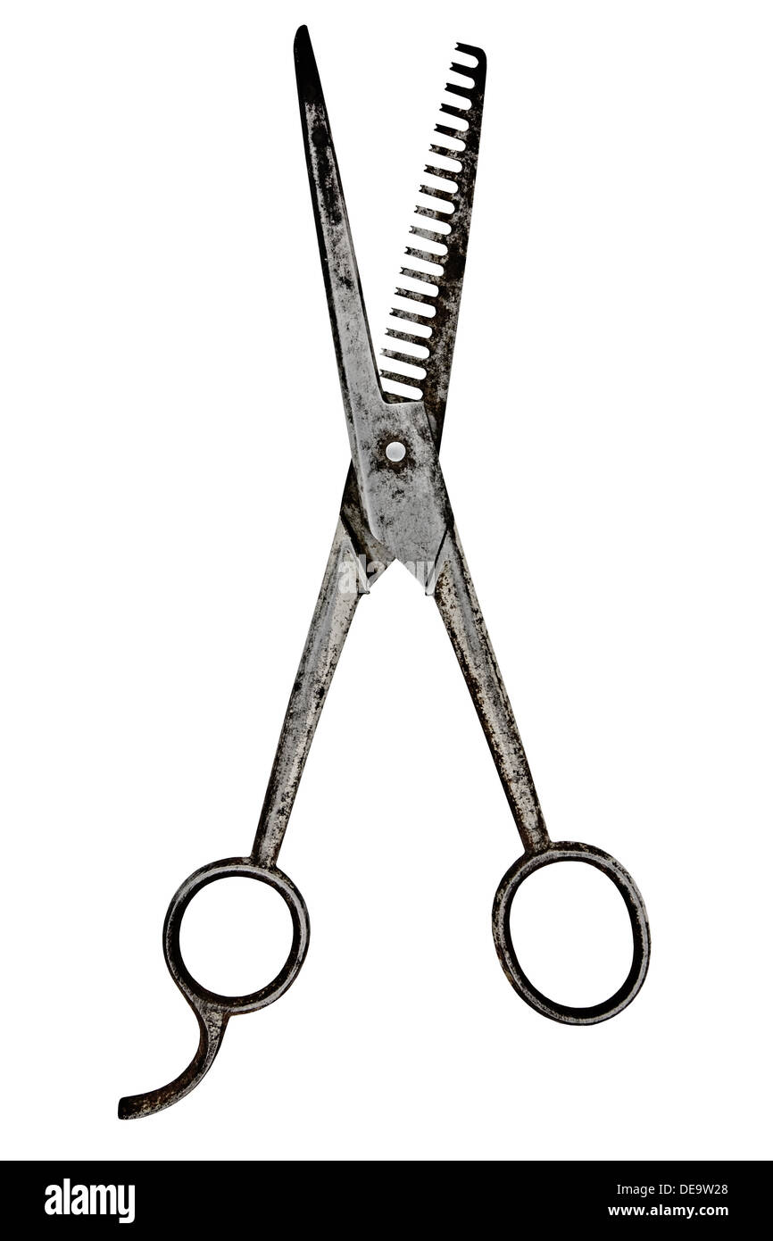 vintage barber scissors isolated over white background, clipping path
