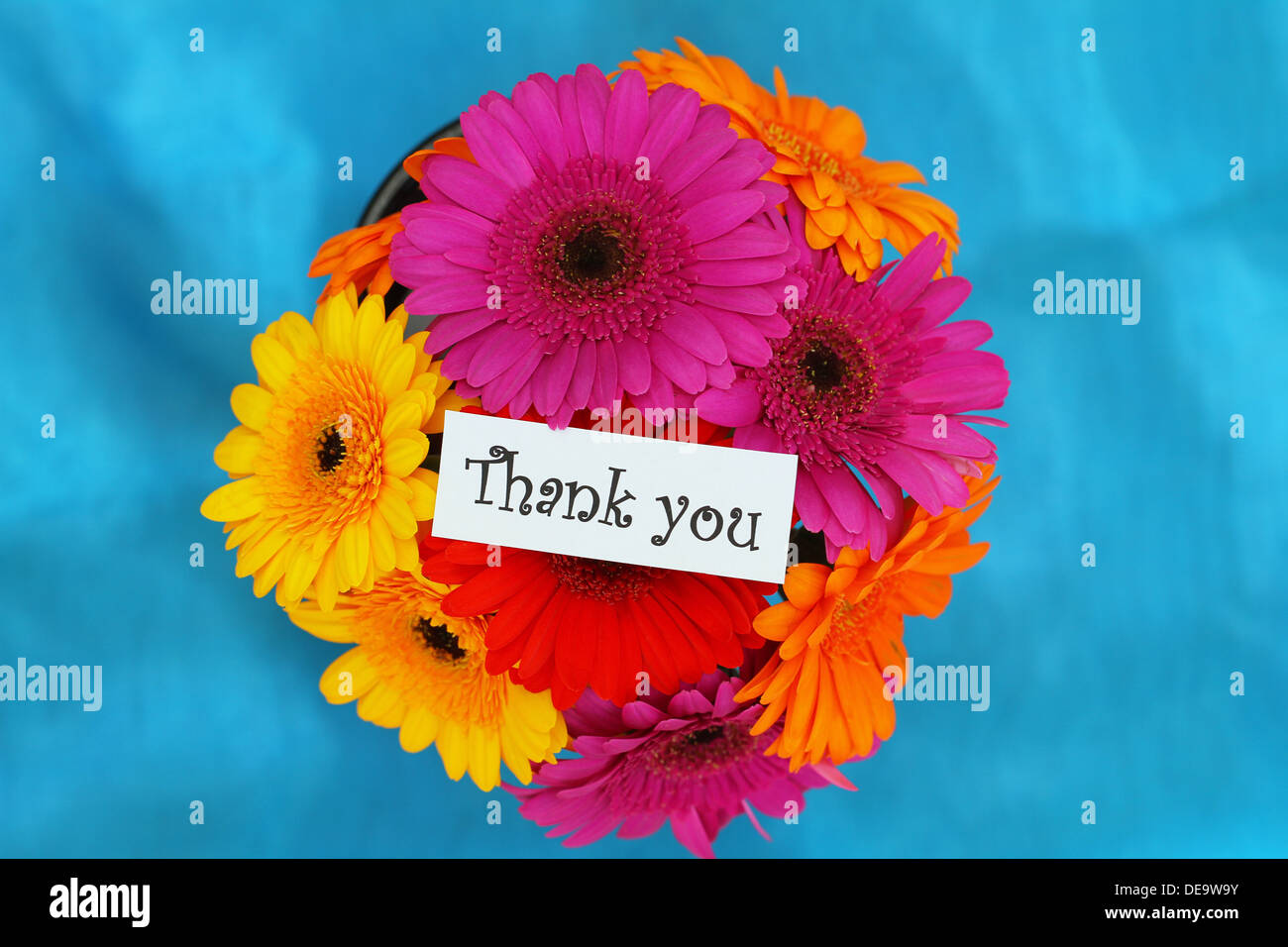 Thank you card with colorful gerbera daisies Stock Photo