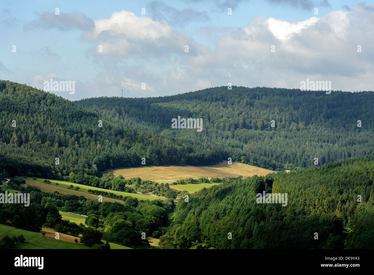 View from Gotthardsruine on Forest of Odes Bavaria, Germany Stock Photo