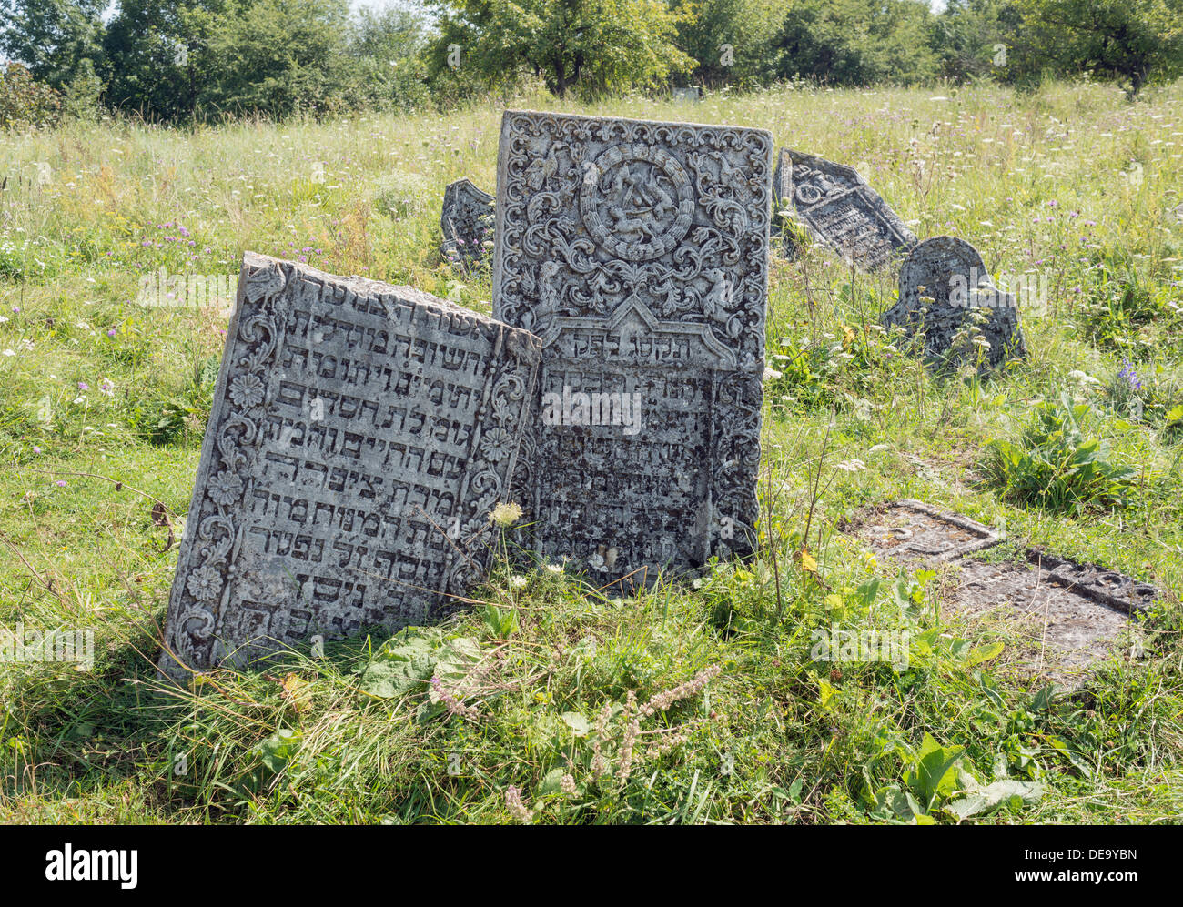 Old jewish cemetery in Sataniv (Ukraine) Stock Photo