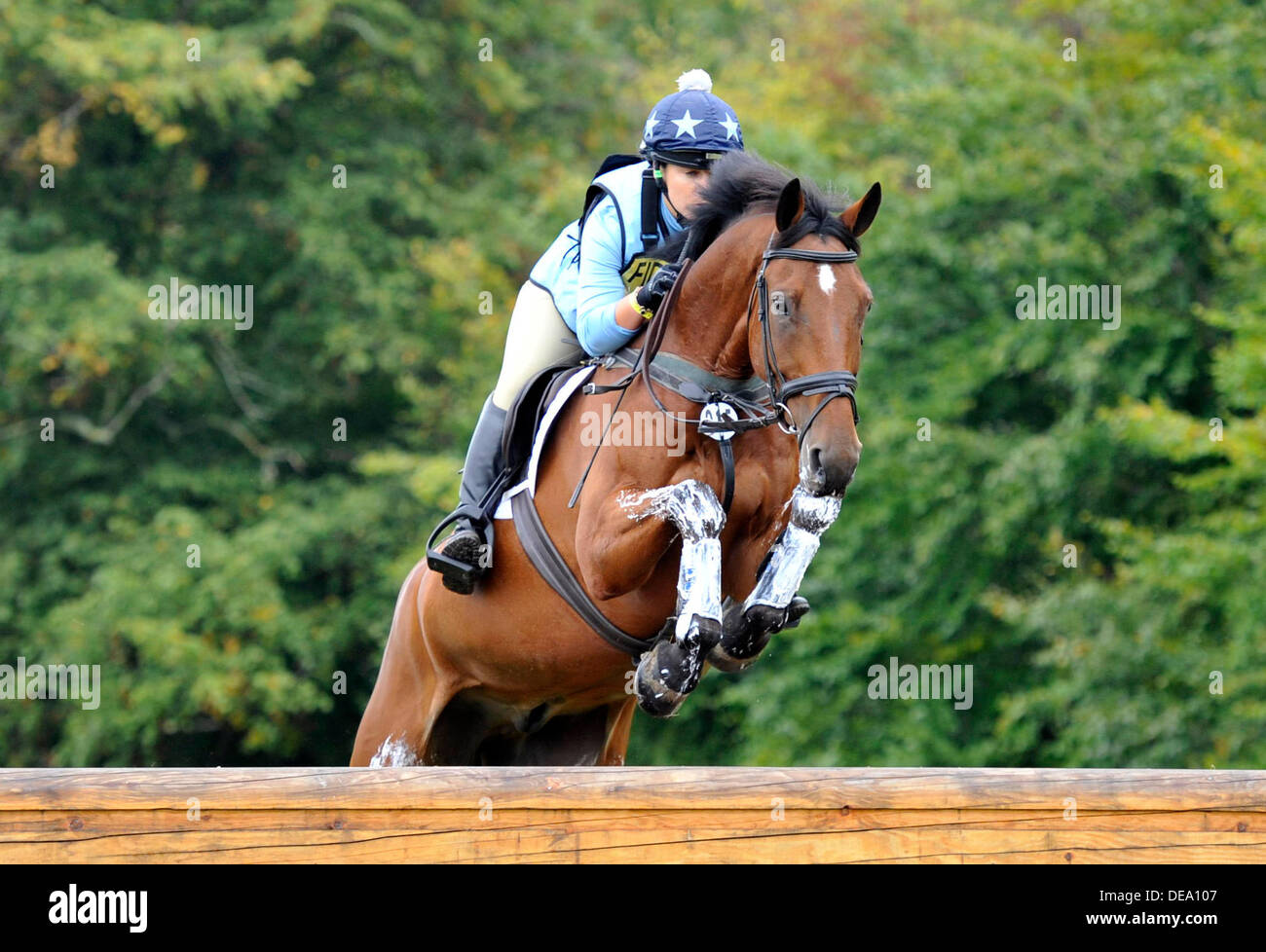 Woodstock Oxford, England, UK. Saturday 14th Sept, 2013. 2013 Fidelity Blenheim Palace Horse Trials. Alce Dunsdon (GBR) with Fernhill Present  during the Cross country phase of the CCI*** three day event Credit:  Julie Badrick/Alamy Live News Stock Photo