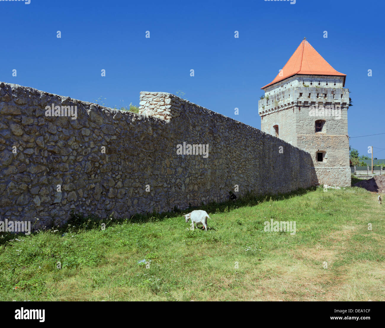Castle in Skalat (Ternopil region, Ukraine Stock Photo Alamy