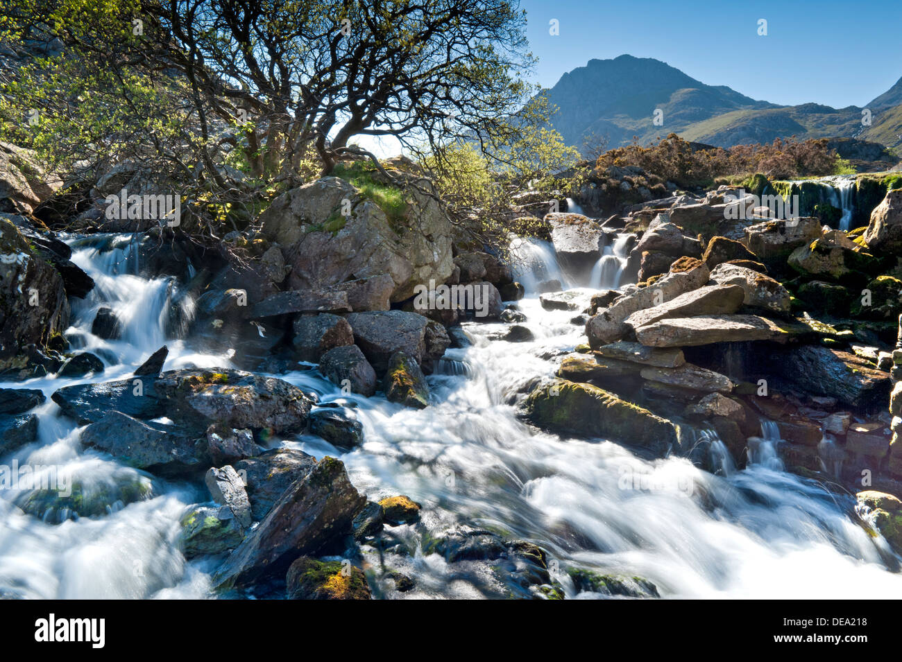 Waterfalls on the Afon Ogwen in the Shadow of Tryfan, The Glyderau, Snowdonia National Park, North Wales, UK Stock Photo