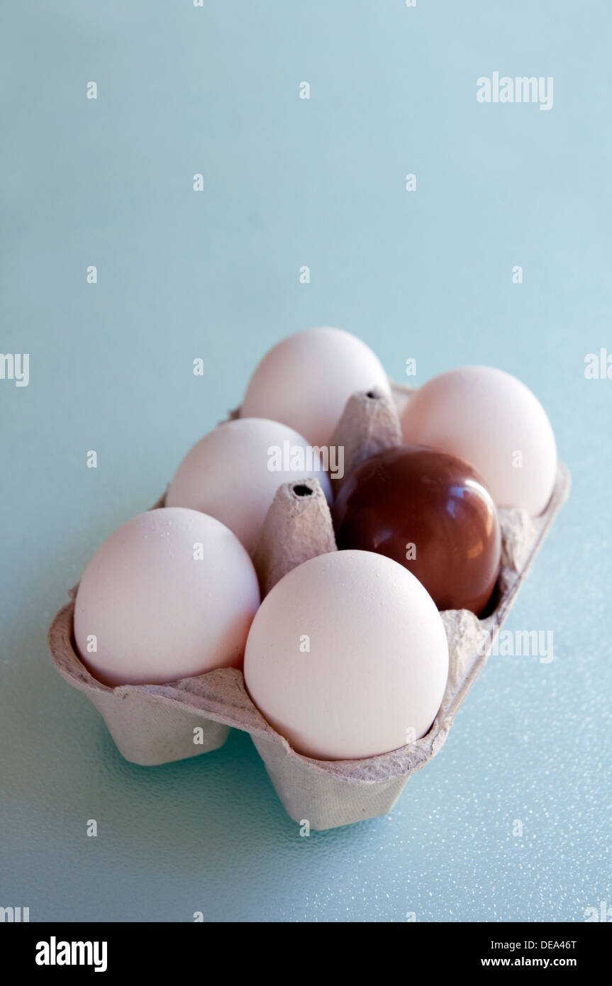 Half a dozen eggs: five white eggs and a chocolate one. Stock Photo