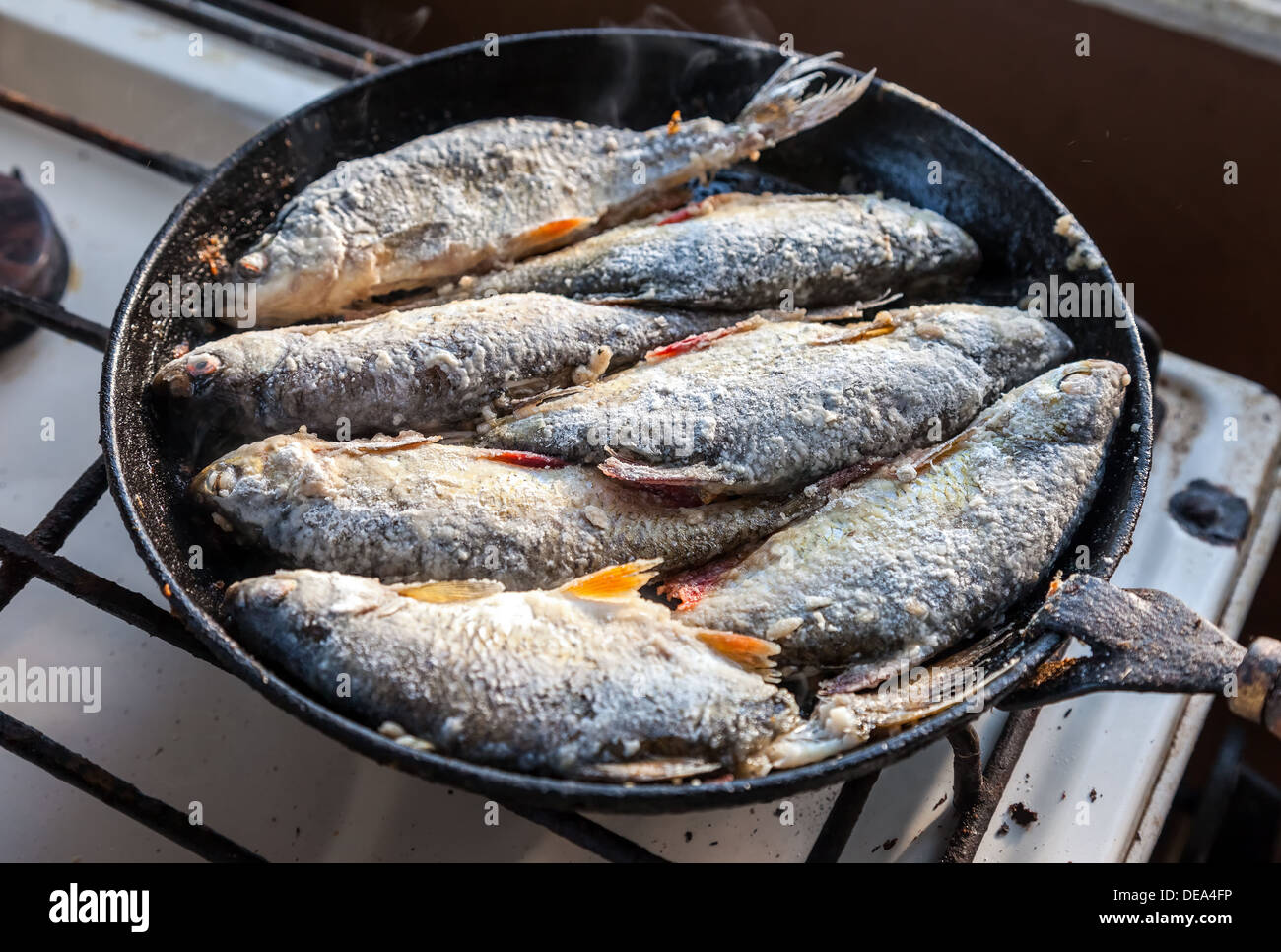 River fish fried in a frying pan Stock Photo - Alamy