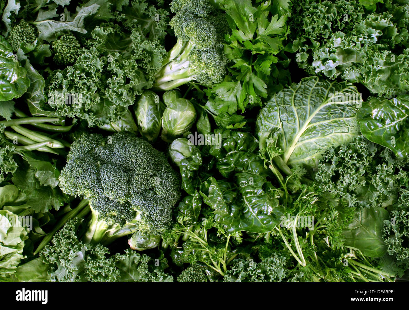 Green vegetables and dark leafy food background as a healthy eating concept of fresh garden produce organically grown as a symbol of health as kale swiss chard spinach collards broccoli and cabbage. Stock Photo