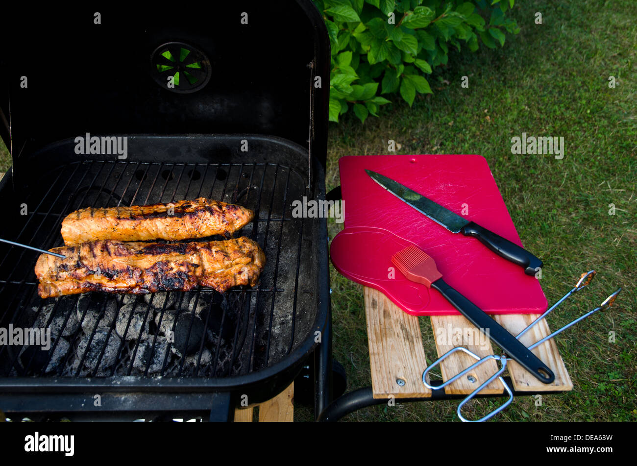 Grilled meat and equipment Stock Photo Alamy