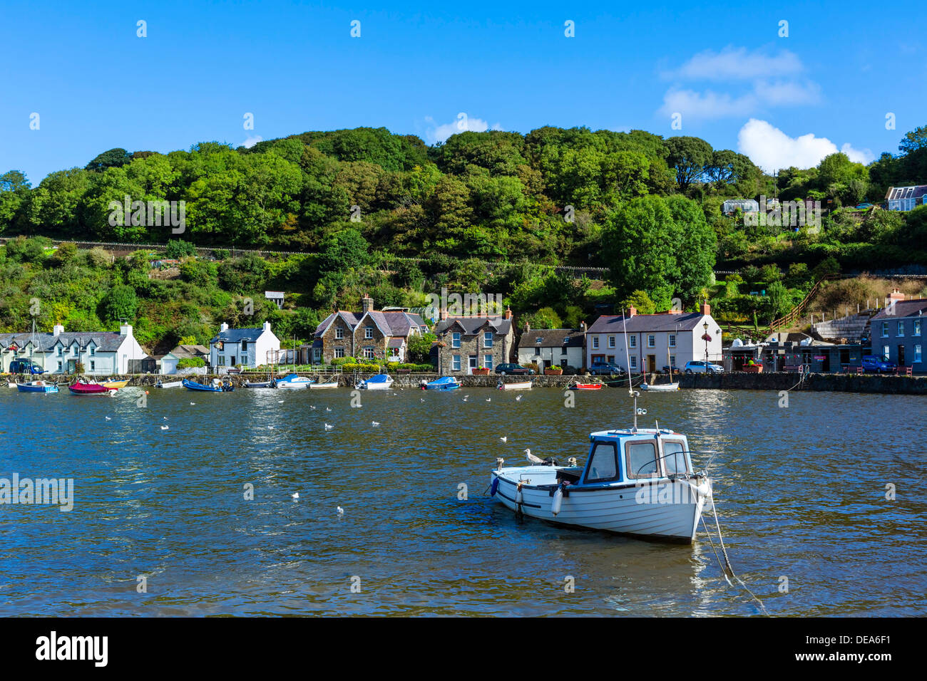 Boats in the harbour in the seaside village of Lower Fishguard, Pembrokeshire, Wales, UK Stock Photo
