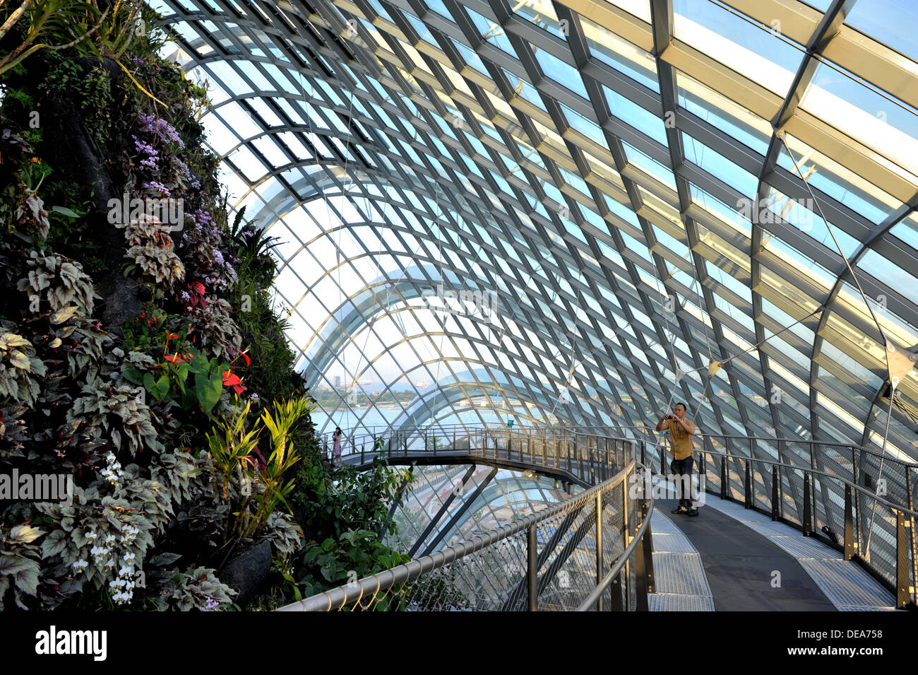 Singapore Tourist Attractions - Cloud Forest at Gardens by the Bay Stock Photo