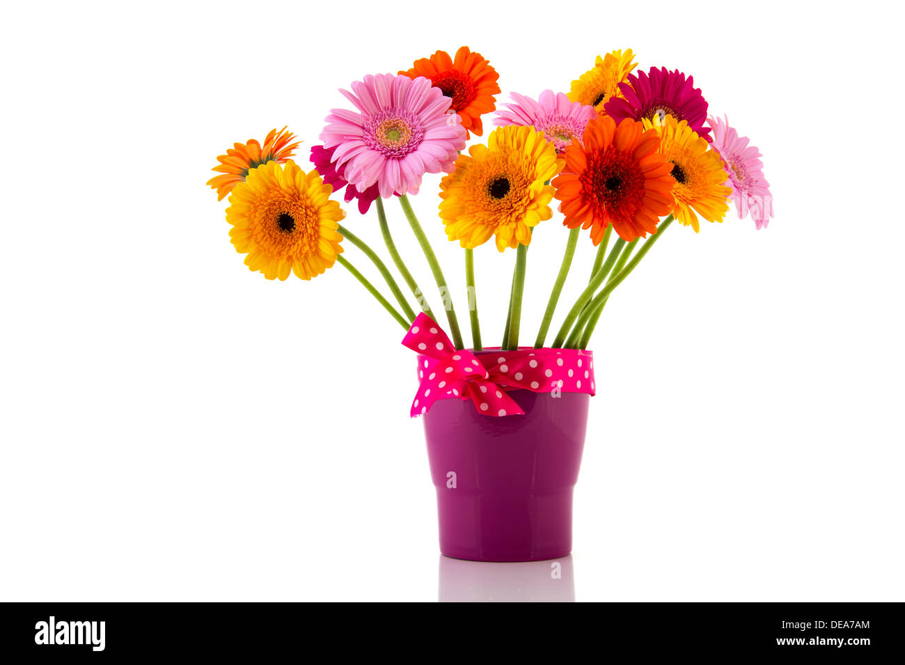 Purple vase with bouquet colorful flowers isolated over white background Stock Photo Alamy
