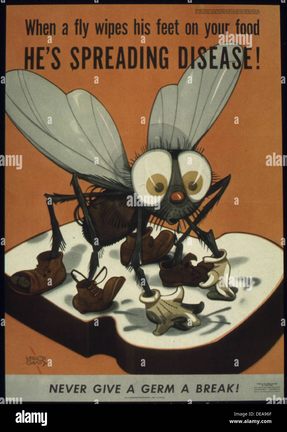 WHEN A FLY WIPES HIS FEET ON YOUR FOOD, HE'S SPREADING DISEASE 5E NEVER