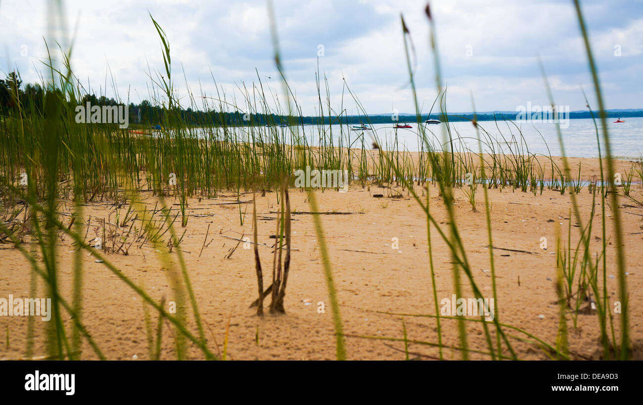 Grass Growing Out of the Sand Near the Shore of the Great Lake Lake