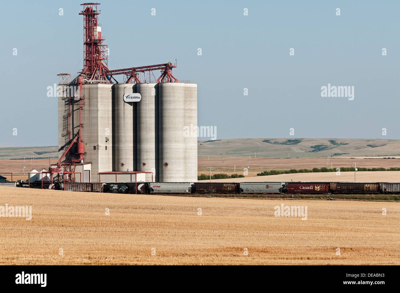 A railway siding next to a Viterra grain elevator near Gull Lake Saskatchewan Canada. A crop field of wheat in the foreground Stock Photo
