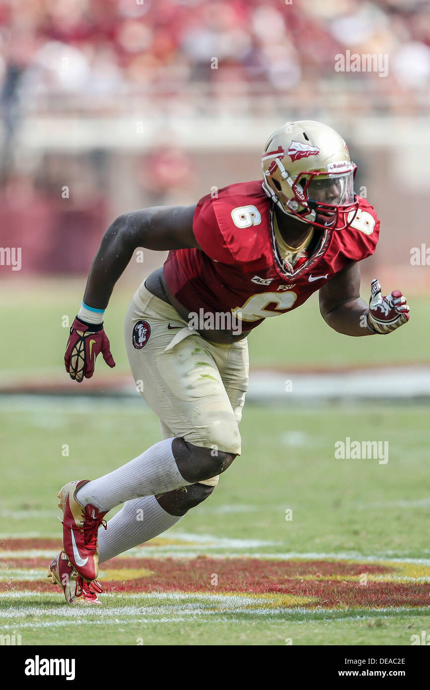 September 14, 2013: Florida State Seminoles defensive end Dan Hicks (6) during the game between the Florida State Seminoles and the Nevada Wolf Pack at Doak S. Campbell Stadium. Stock Photo