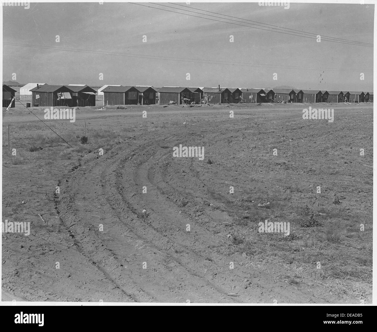 Eloy District, Pinal County, Arizona. Large grower's camp for cotton