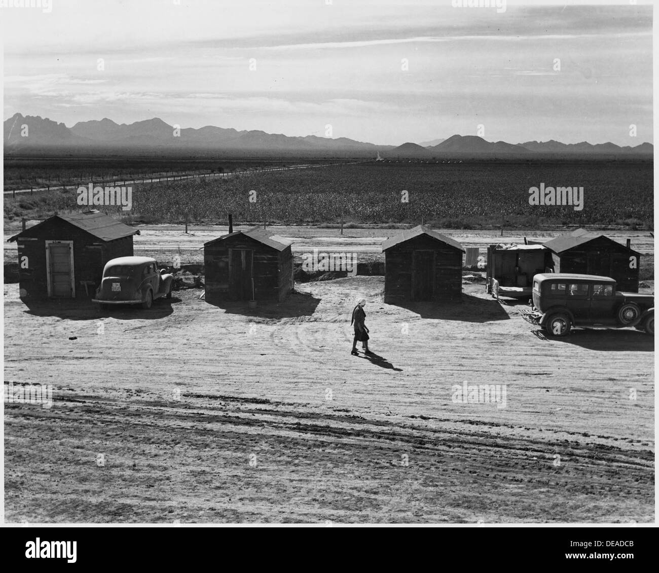 Eloy District, Pinal County, Arizona. This camp has 8 lumber shacks, 12