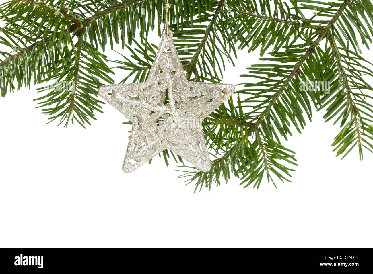 Christmas silver star on the fir branch, isolated over white background ...