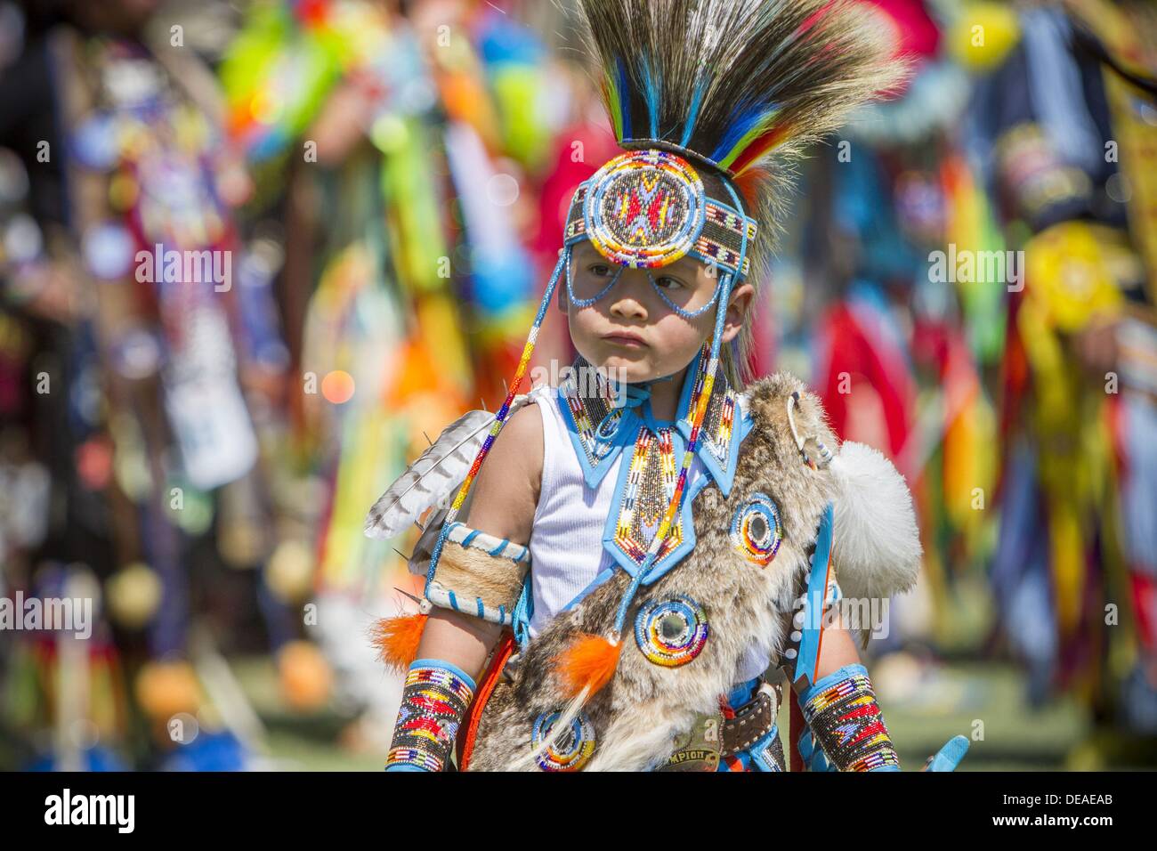 Kumeyaay hires stock photography and images Alamy